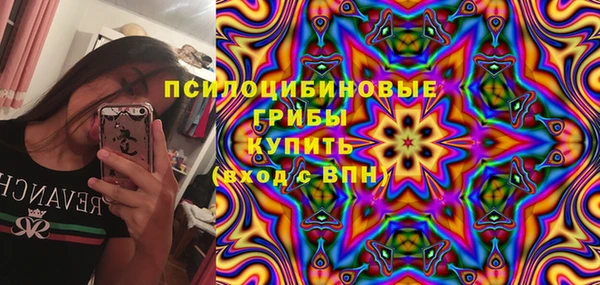 тгк Алзамай