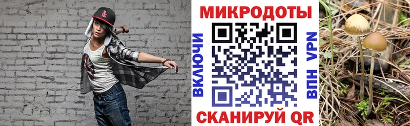 хочу наркоту  Краснознаменск  Галлюциногенные грибы Psilocybine cubensis 